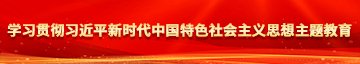 午夜搞逼逼网学习贯彻习近平新时代中国特色社会主义思想主题教育